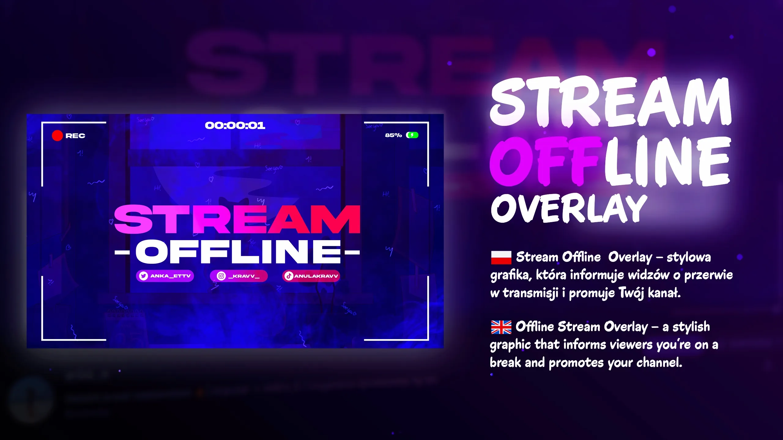 Twitch banner and overlay design